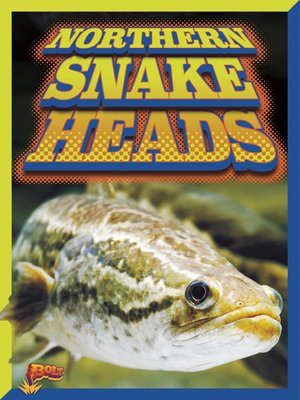 cover image of Northern Snakeheads